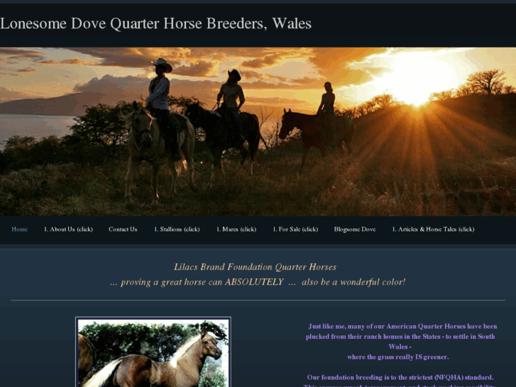 www.lonesomedovefqh.com