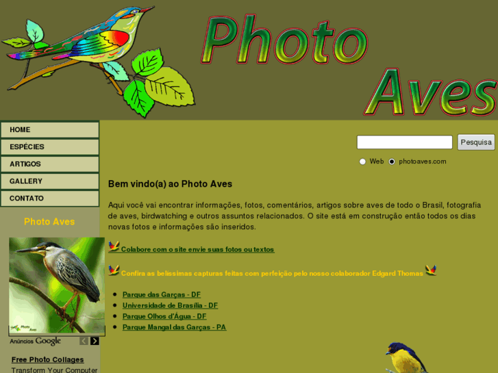 www.photoaves.com