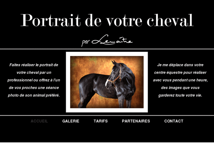 www.portrait-cheval.com