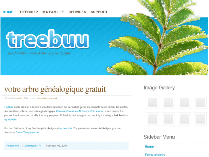 www.treebuu.com