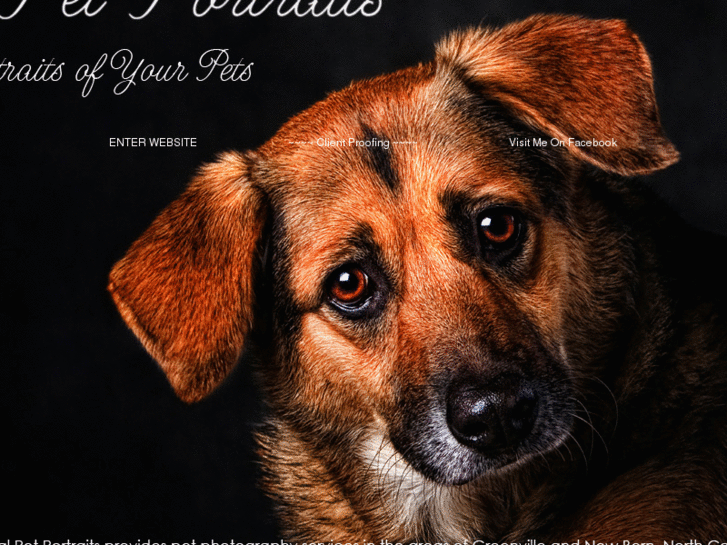 www.coastalpetportraits.com