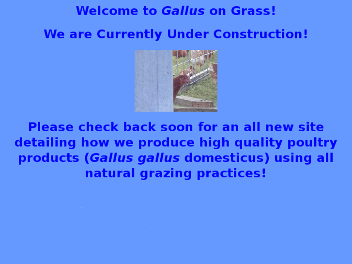 www.gallusongrass.com