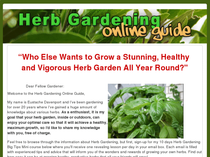 www.herbgardeningonlineguide.com