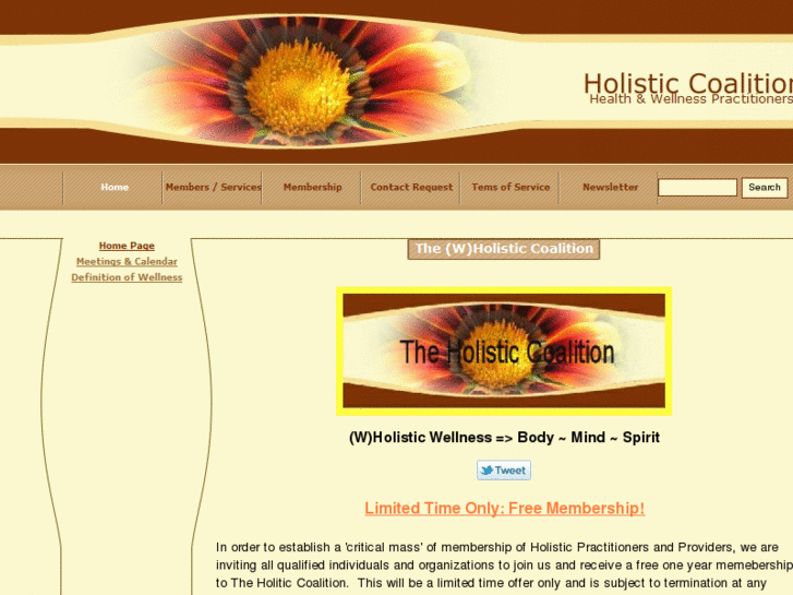 www.holistic-coalition.com