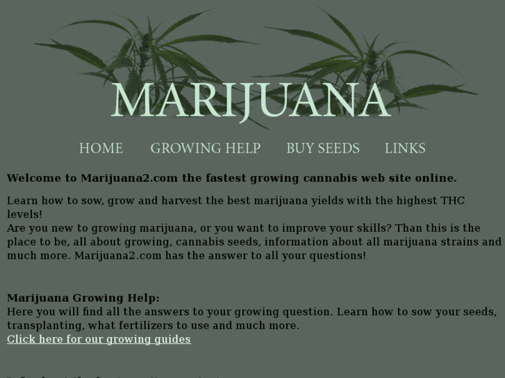 www.marijuana2.com