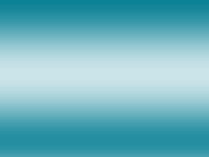 www.visions-and-concepts.net