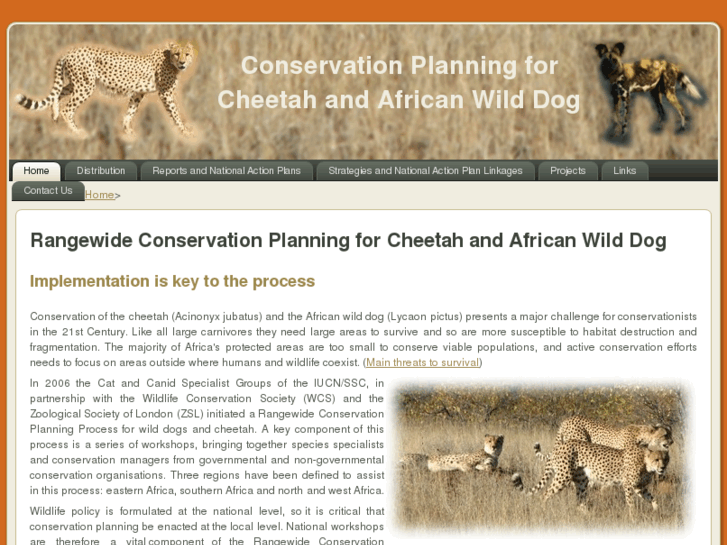 www.cheetahandwilddog.org