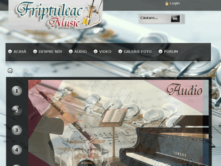 www.friptuleac-music.com