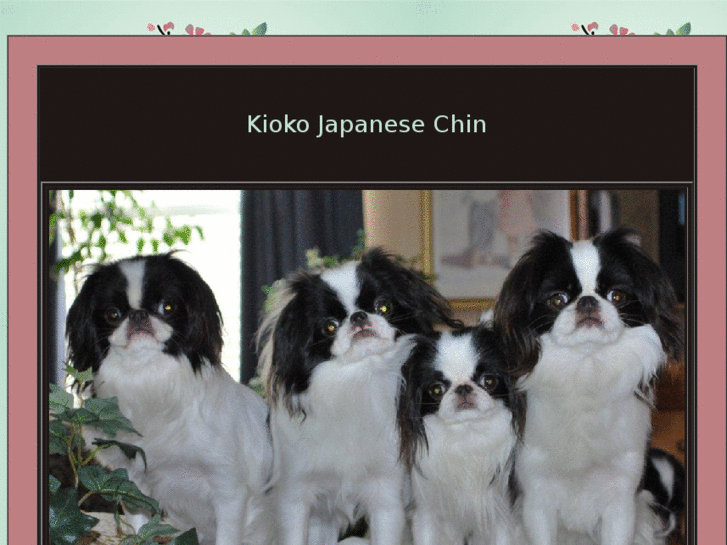 www.kiokojapanesechin.com