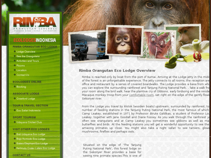www.orangutanlodge.com