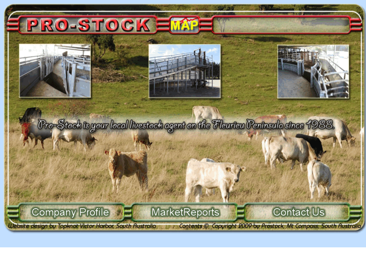 www.prostocklivestock.com.au