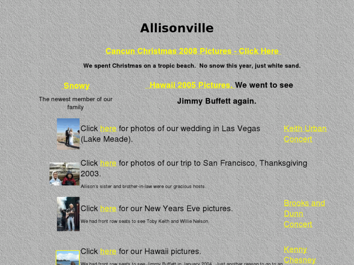 www.allisonville.com