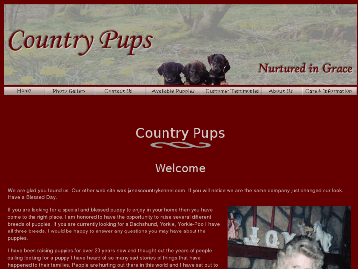 www.countrypupsbyjane.com