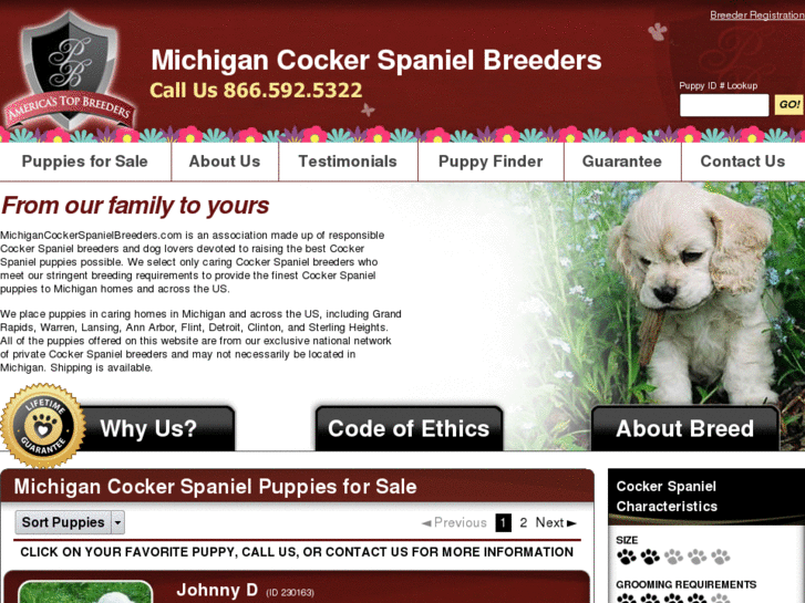 www.michigancockerspanielbreeders.com