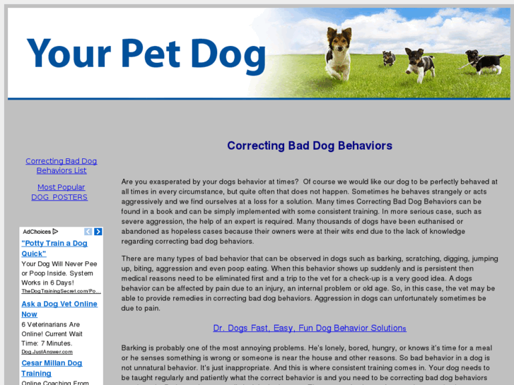 www.yourpetdog.net