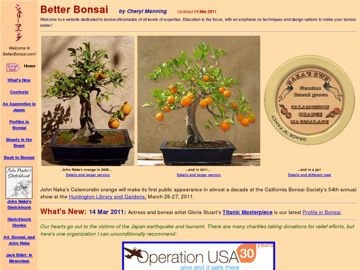 www.betterbonsai.com