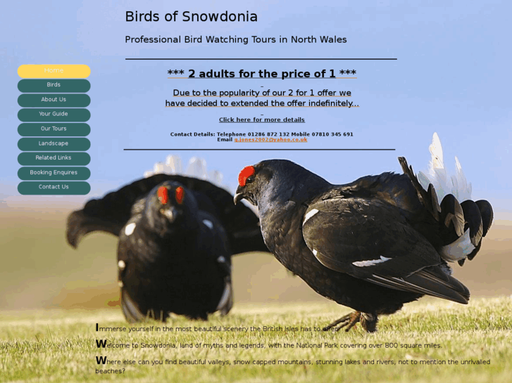 www.birdsofsnowdonia.com