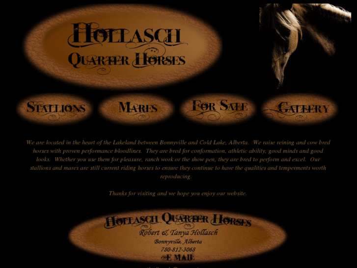 www.hollaschquarterhorses.com