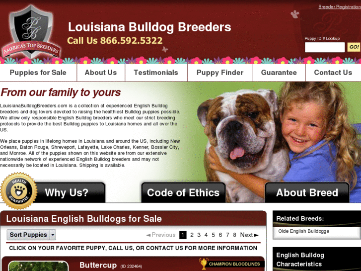 www.louisianabulldogbreeders.com