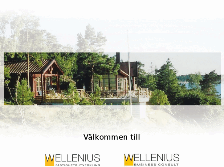 www.wellenius.com