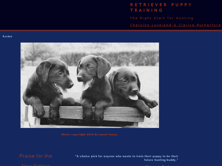 www.retrieverpuppytraining.com
