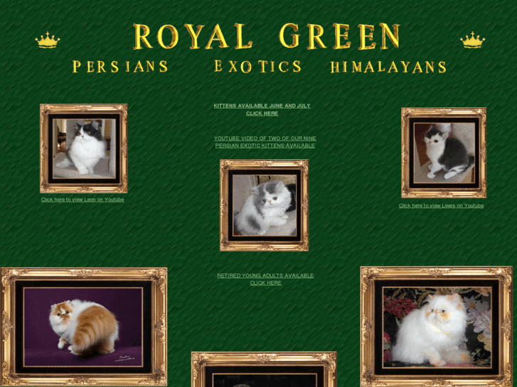 www.royalgreencattery.com