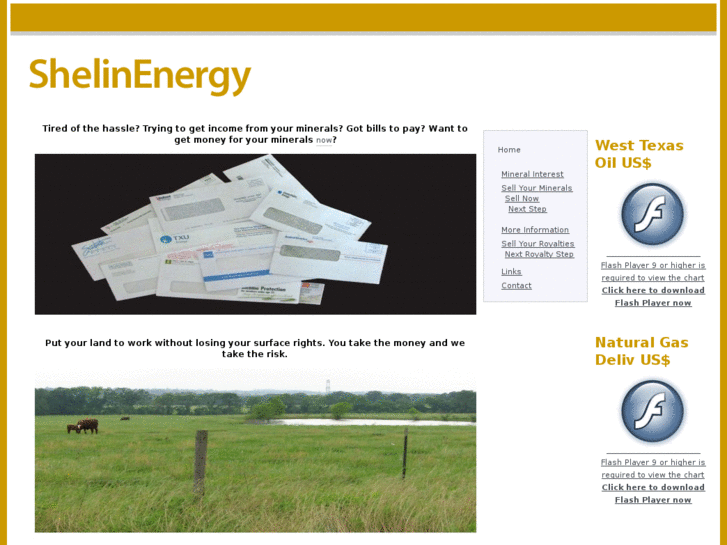 www.shelinenergy.com