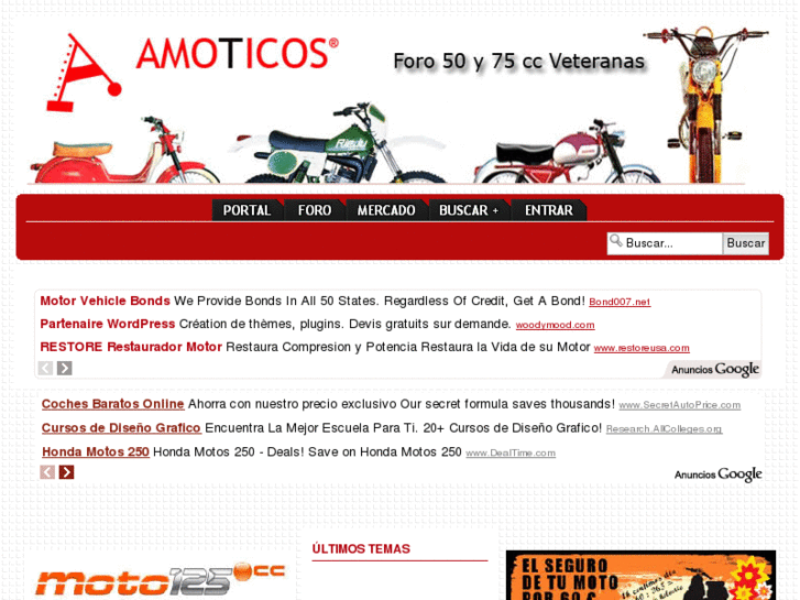 www.amoticos.es