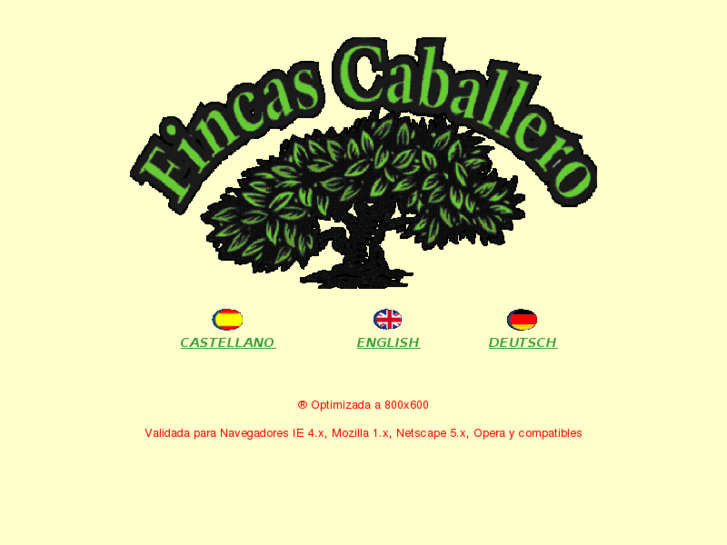 www.fincascaballero.com