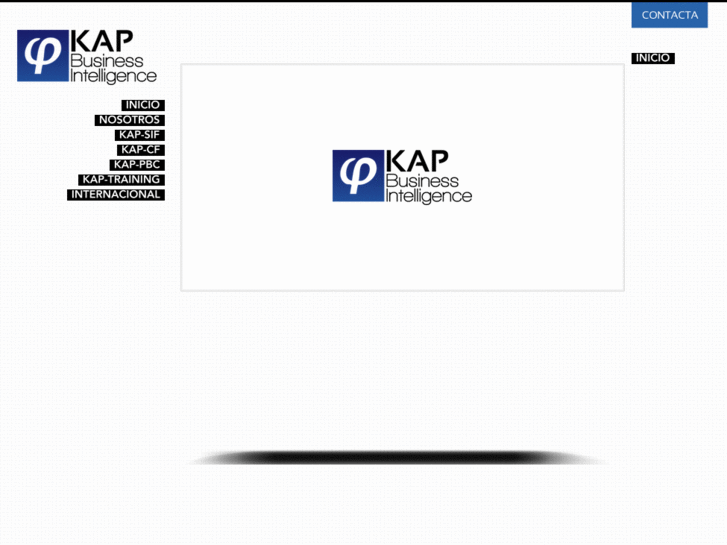 www.kap-businessintelligence.es