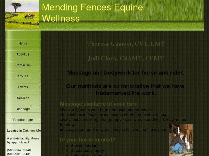 www.mendingfencesequine.com