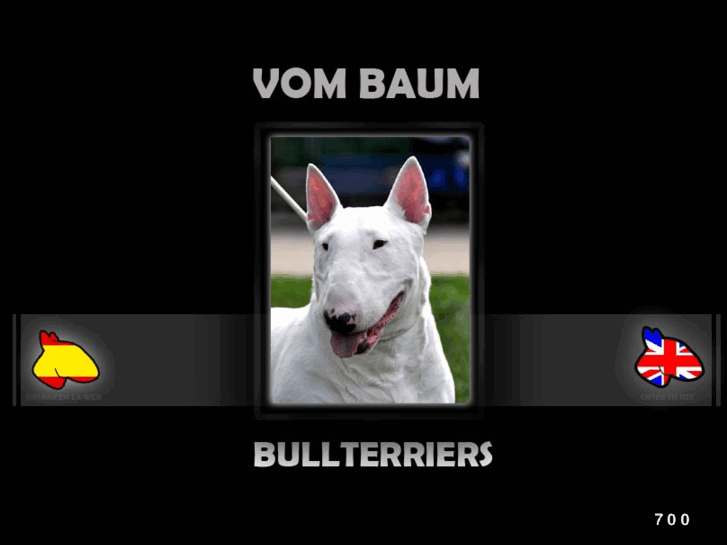 www.vombaum-bullterriers.com