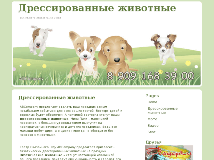 www.animal-show.ru