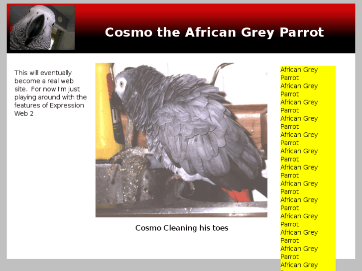 www.cosmothegrey.com