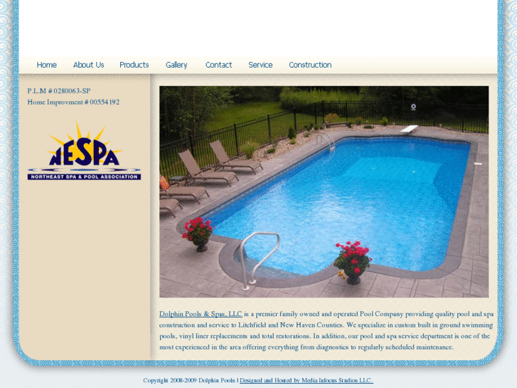 www.dolphinpoolsandspas.com