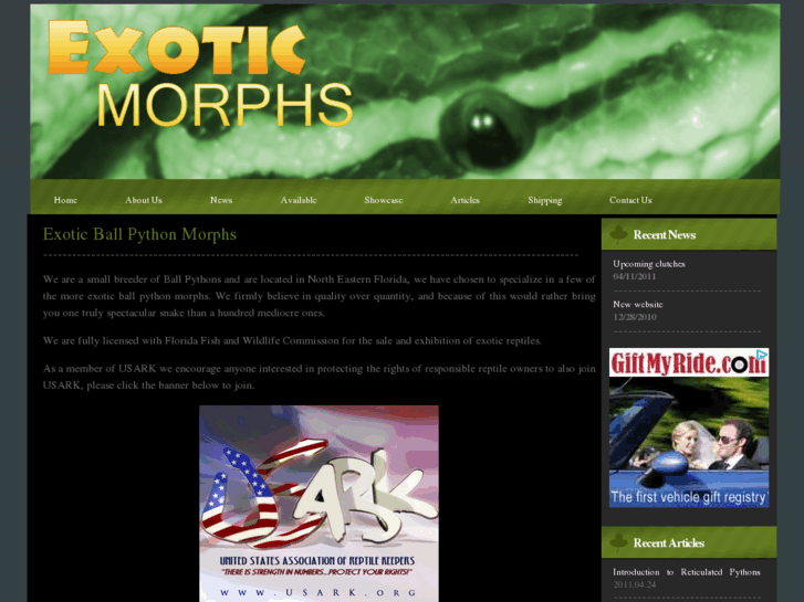 www.exoticmorphs.com