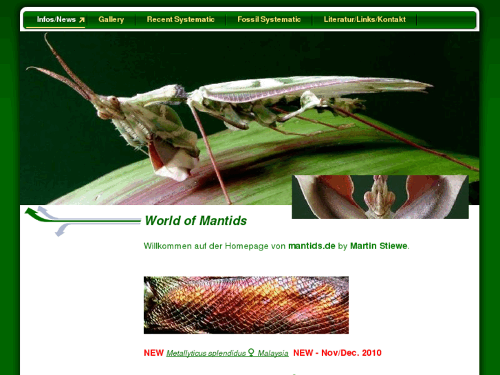 www.mantids.de