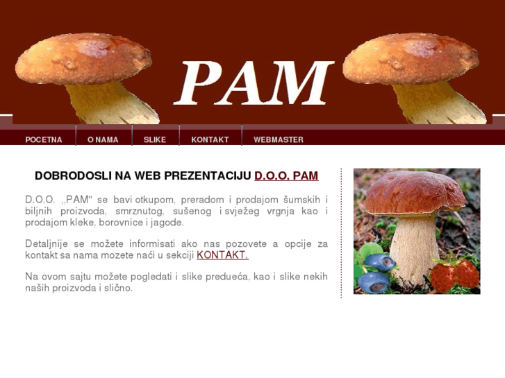 www.pam-cg.com