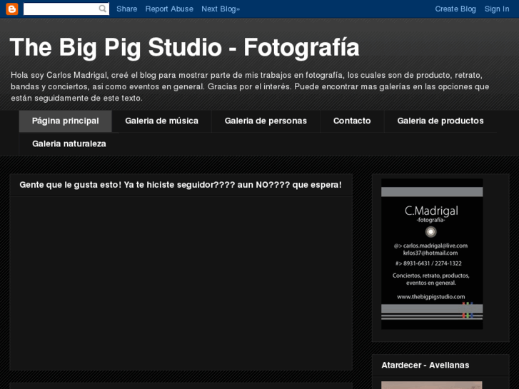 www.thebigpigstudio.com