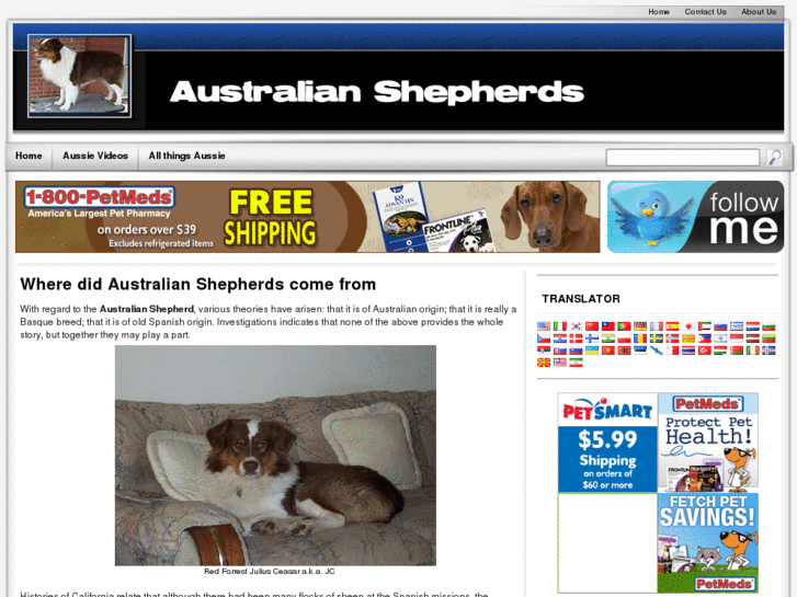 www.australianshepherdblog.com