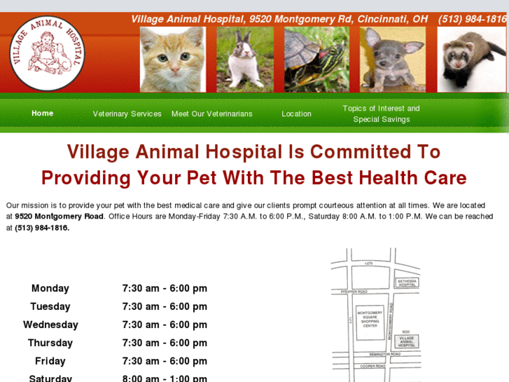 www.villageanimalhospitalcincy.com