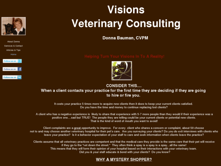 www.visionsconsulting.net