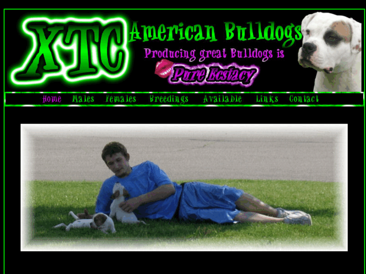 www.xtcbulldogs.com