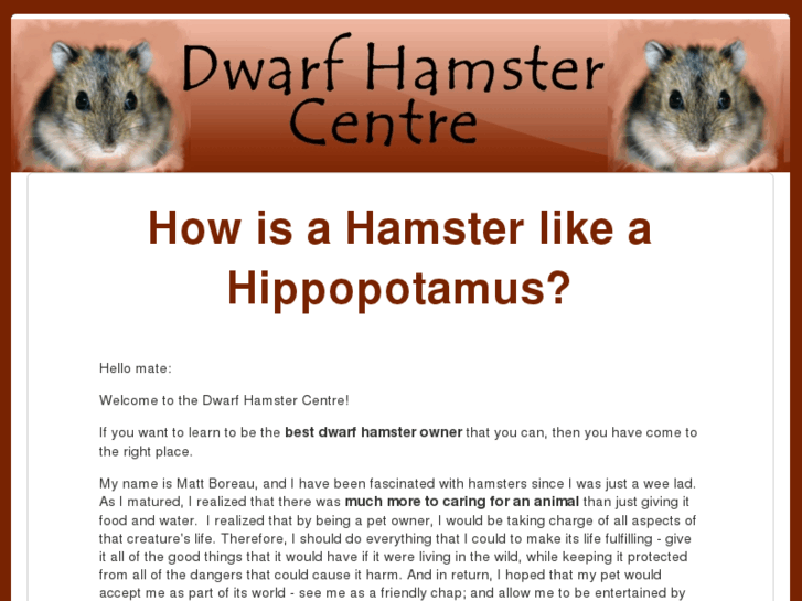 www.dwarfhamstercentre.com