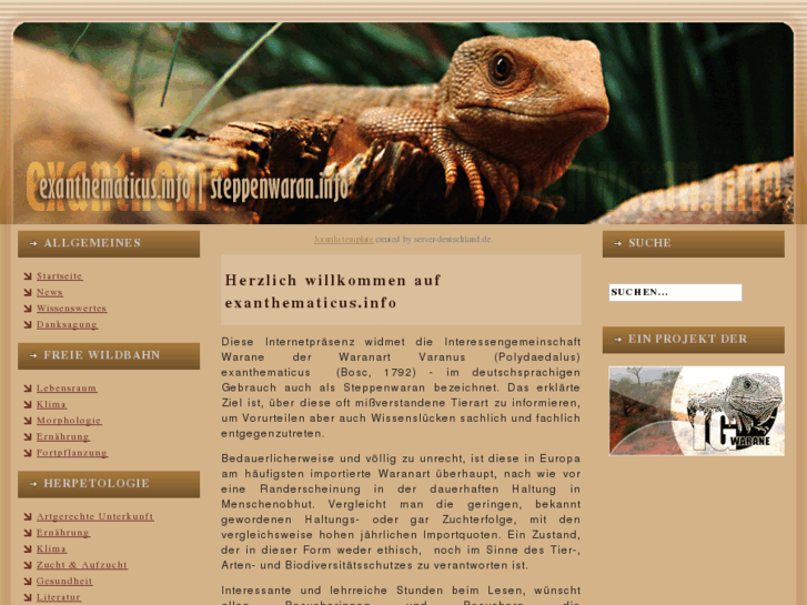www.exanthematicus.info