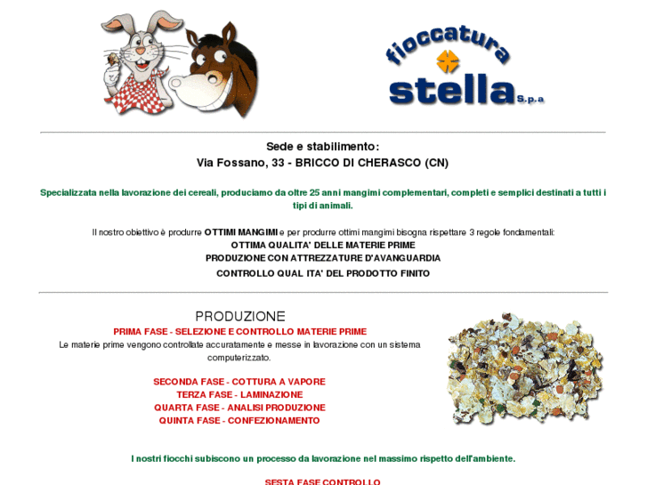 www.fioccaturastella.com