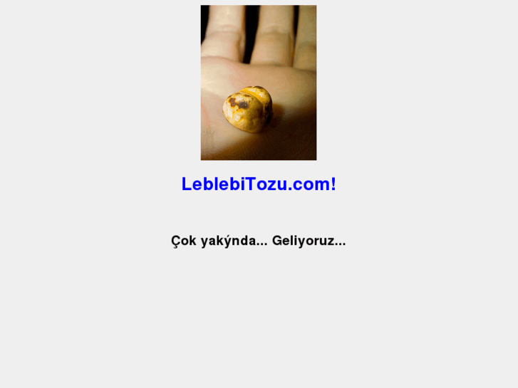 www.leblebitozu.com