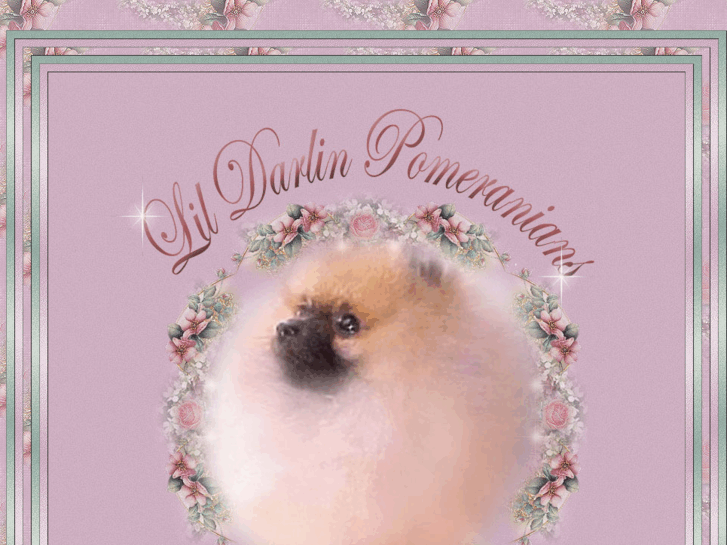 www.lildarlinpomeranians.com