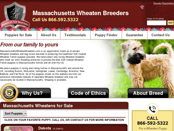 www.massachusettswheatenbreeders.com