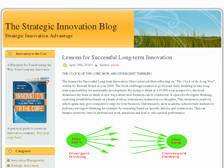 www.strategicinnovation.org